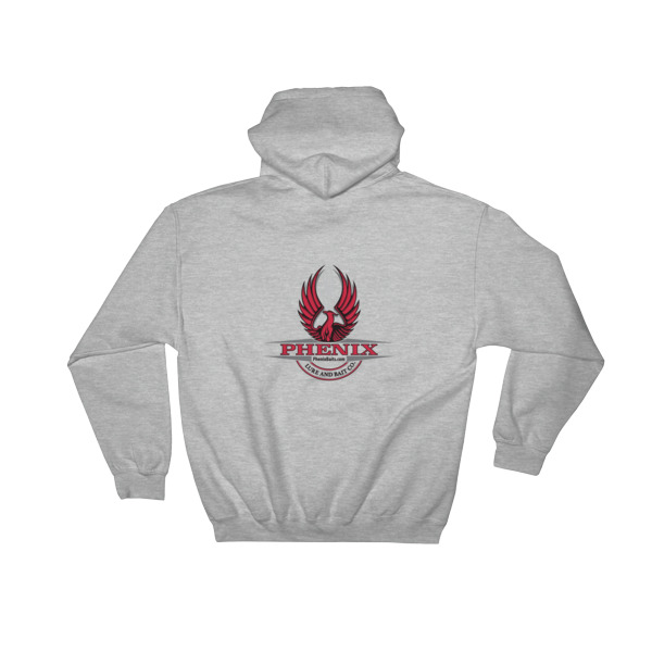 Hooded Sweatshirt (Words on Front / Logo on Back) – Swag for 